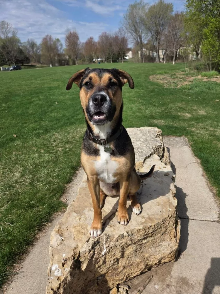 Buddy — Field Supervisor, Three Rivers Electric